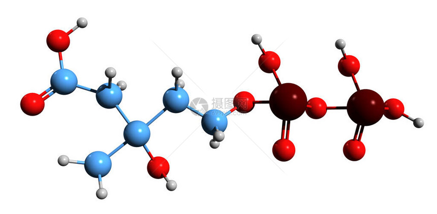 5二磷酸甲羟戊酸骨架式的3D图像在白色背景下分离的甲羟戊酸途径中间体的图片