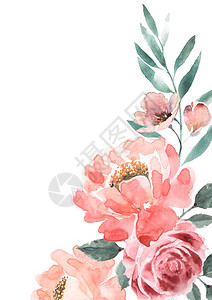 精致的牡丹和桃色玫瑰花卉背景图片