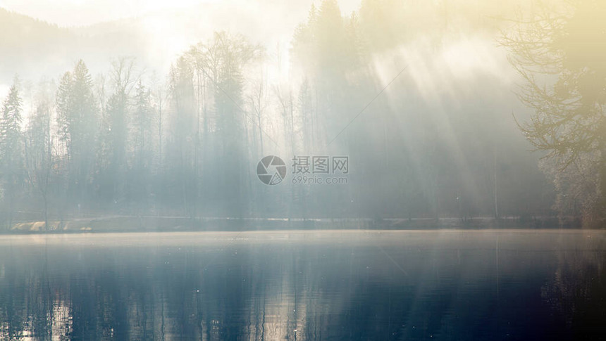 在湖边穿过树木的阳光照耀图片