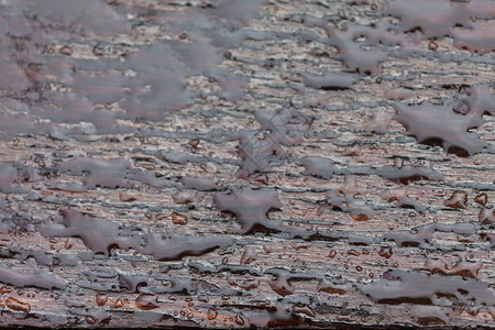 雨水抽象背景浅深的田地时木图片