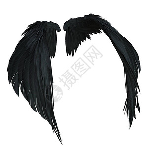 添翼3D白色背景上孤立的黑色幻想天使翼设计图片