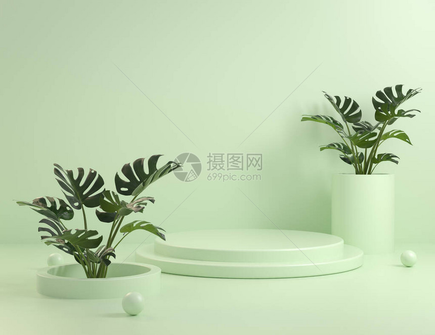 模拟绿色讲台阶和龟背竹植物图片
