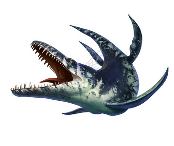 Kronotaurus是一种海洋爬行动物图片