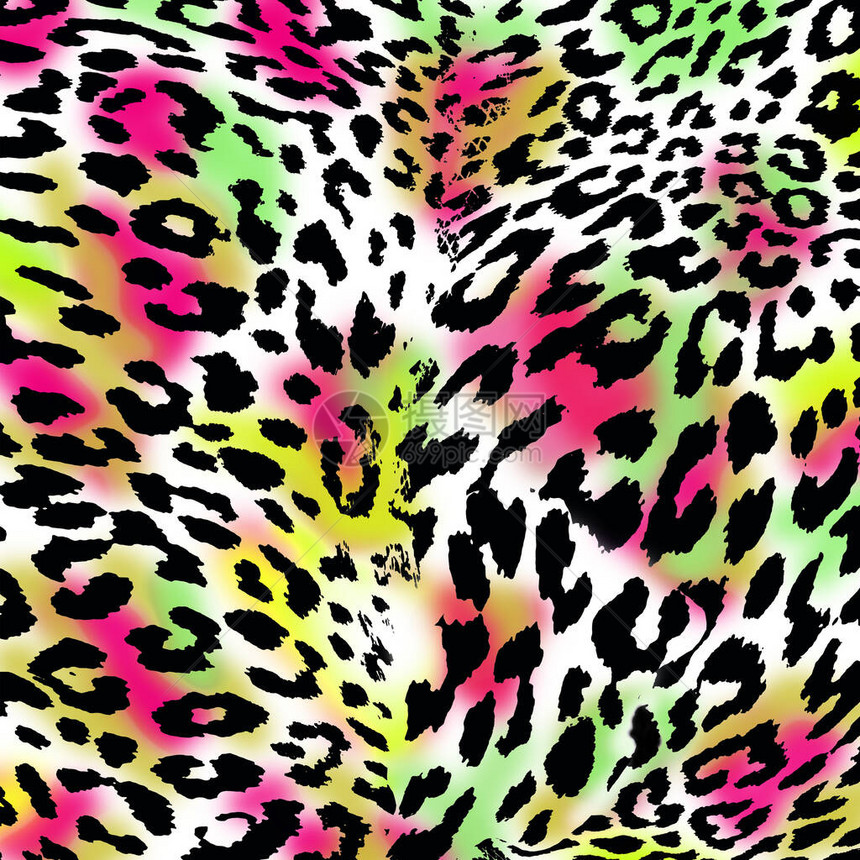 动物印花豹纹背景图片
