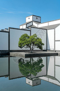 苏州博物馆假山苏州博物馆的建筑图景插画