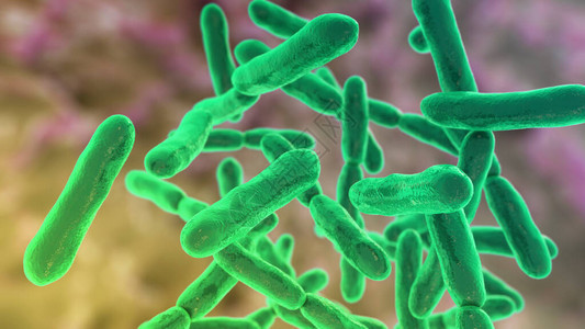乳酸菌发酵是人体肠道正常菌群的一部分设计图片