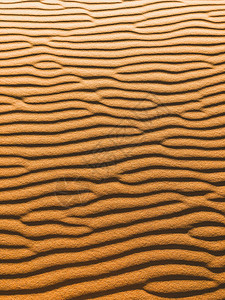 沙丘的橙色垂直纹理抽象形状背景阴影和阳光图片
