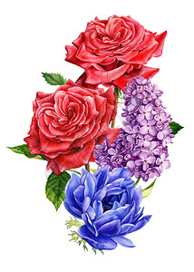 一束鲜花海葵玫瑰丁香水彩植物插图高质图片