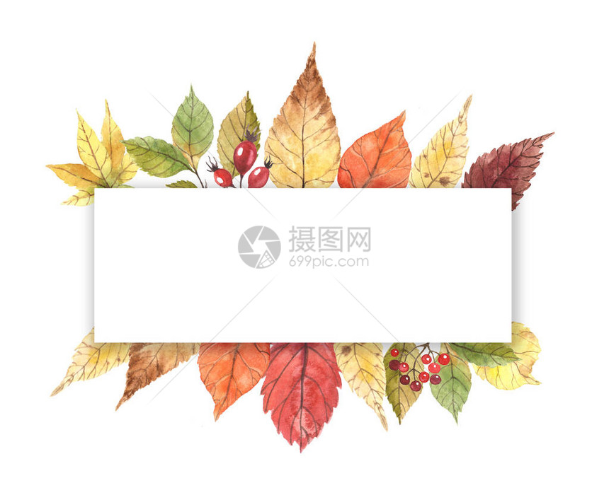 带秋叶和浆果的水彩框用于请柬贺卡生图片