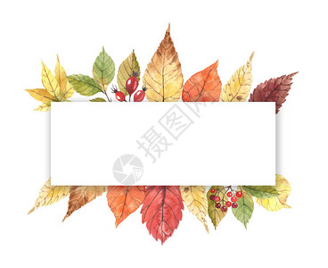 带秋叶和浆果的水彩框用于请柬贺卡生图片