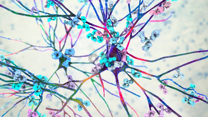 抗体攻击神经元3D插图自动免疫神图片