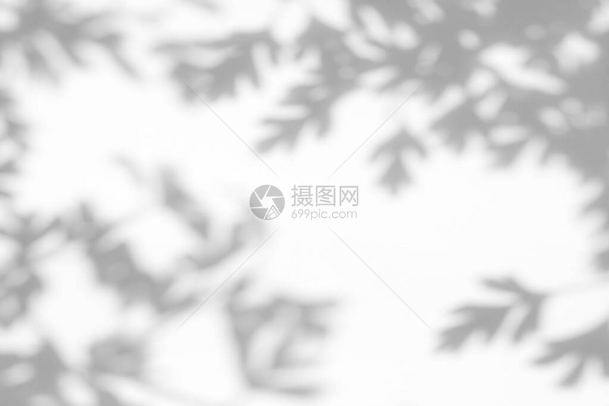山楂树的灰色阴影在白墙上留下抽象的中自然概念模糊背景文本的空间自然图片