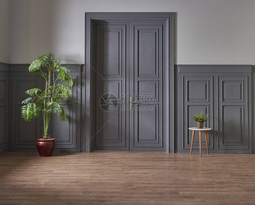 灰色经典门墙概念植物和棕色椰子地图片