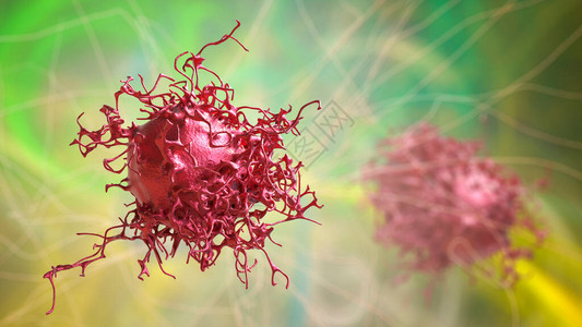 真双子叶植物子宫颈癌细胞3D插图子宫设计图片