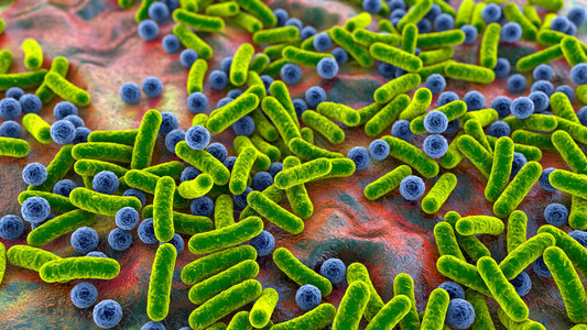 克雷伯氏菌杆状细菌和球菌人类微生物组人类致病菌插画