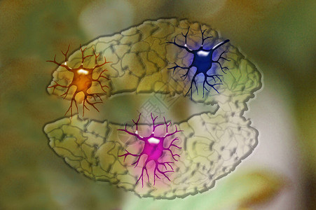 具有神经元的人脑摘要图片