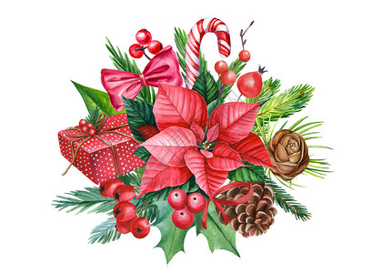 牧濑红莉栖白色孤立背景的圣诞成份水彩画花朵鲜树枝荷莉棒糖礼品插画