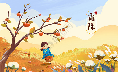 秋天柿子树霜降之摘柿子的女孩插画