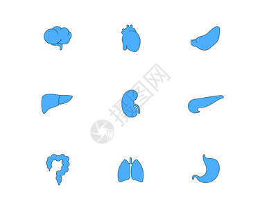 肝脾肾蓝色医疗五脏六腑图标svg图标元素套图插画