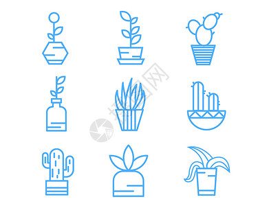 虎皮兰线描植物花草图标svg图标元素套图插画