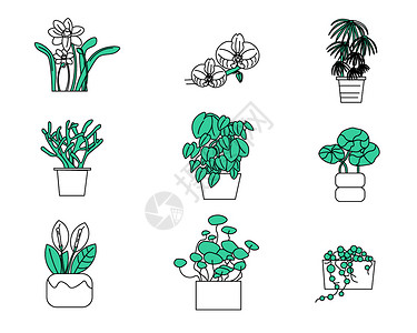 植物白掌植物花草植物花草矢量元素套图插画