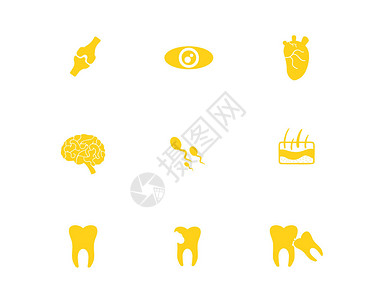 肺部图标黄色人体器官图标牙齿svg图标元素套图插画