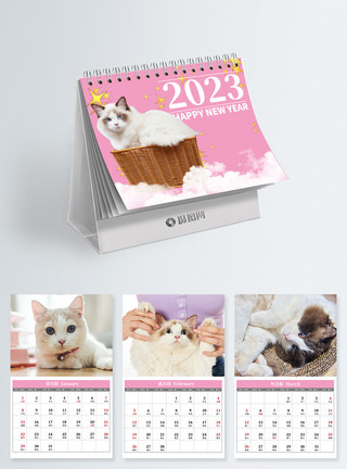 宠物美发2023年宠物猫台历模板