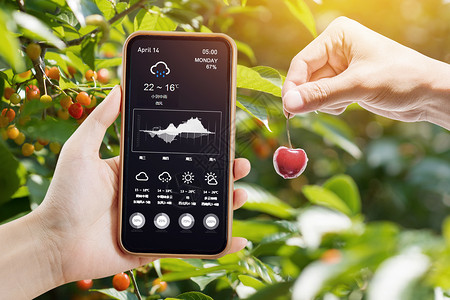 黑莓树创意大气手机分析科技农业设计图片