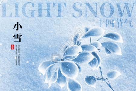 初冬新款小雪唯美雪地植物gif动图高清图片