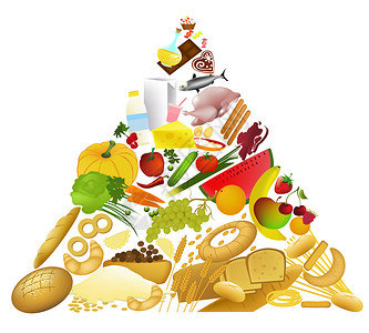 大食物金字塔图片