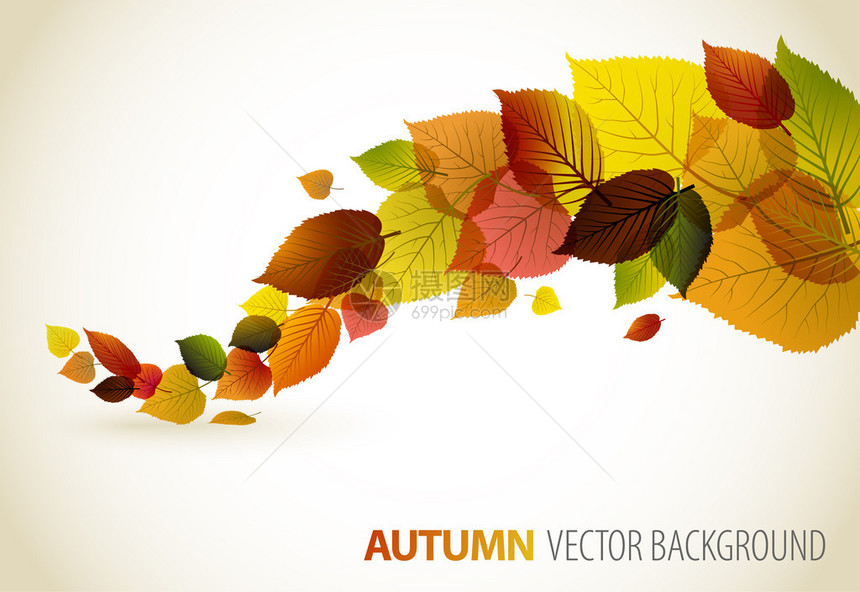 秋天抽象花卉背景图片