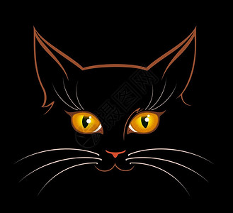 黑暗中猫眼的形象图片