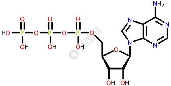 三磷酸腺苷Atp结构式插画