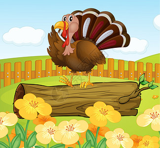 足内翻一只火鸡在栅栏内木头上方的插图插画