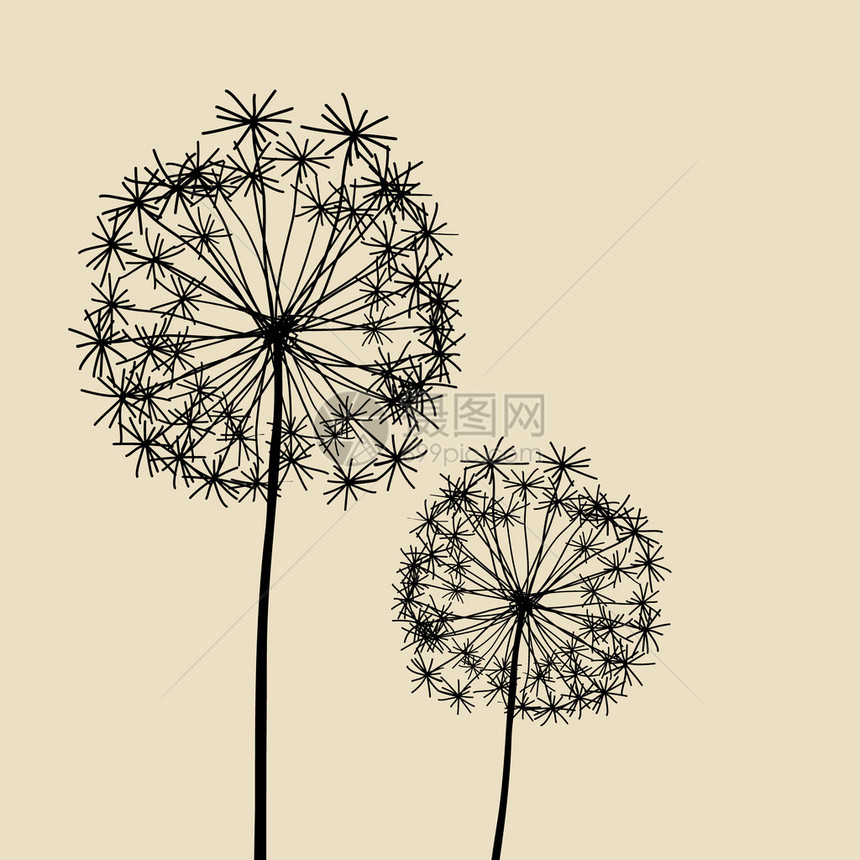 设计dandelions的花粉元素EPS1图片