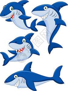 动物区系卡通鲨鱼收藏集插画