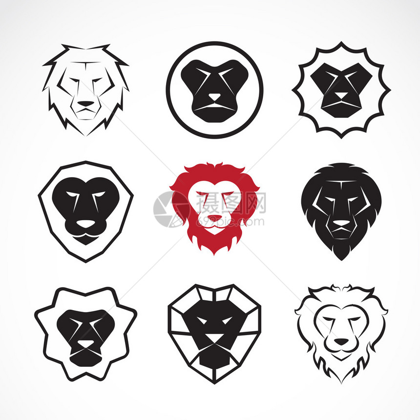 向量组的狮子的头部设计白色背景上图片