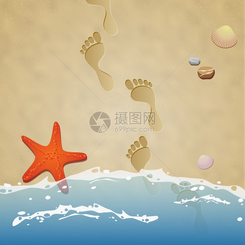 沙滩水石头海星和贝壳上有脚印的图片