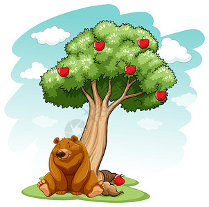 鼻头熊在树下插画