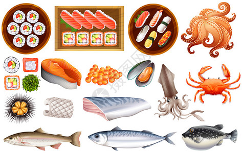 光明食品集团寿司插画