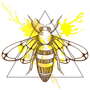 酿蜜带有水彩笔墨的三角形框架中的心形蜜蜂插画