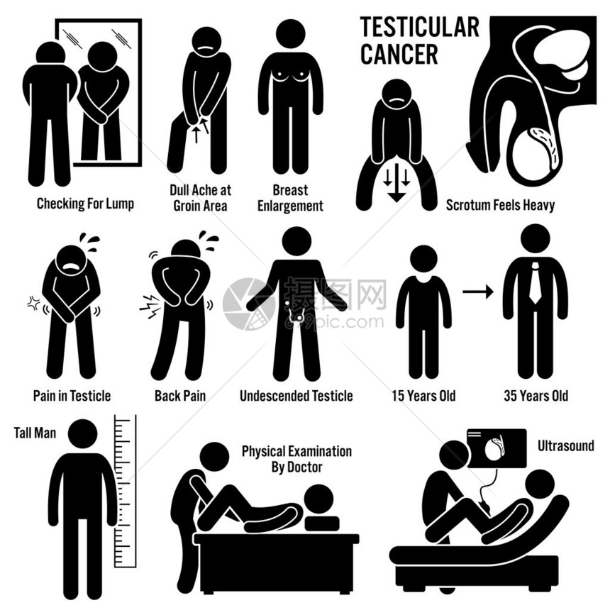 睾丸睾丸睾丸癌症状导致风险因素诊断棒图象形图图标图片