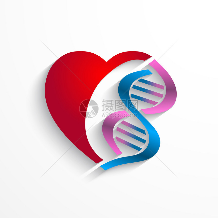 Dna的概念用于医学遗传学生物学概念的双螺旋结构符号的心图片