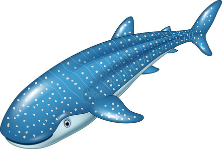 忍野八海景点用矢量插图说明白底鲸鲨被孤立在白插画