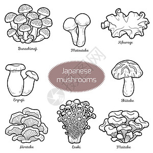 文目路黑白套日本蘑菇用不同真菌着色页插画