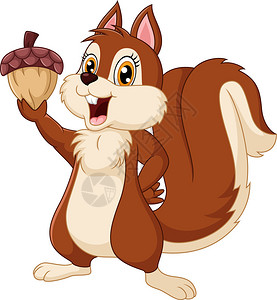 cuteCute松鼠持有橡果的插画