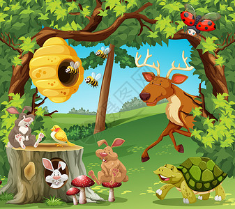 森林插图中的野生动物图片