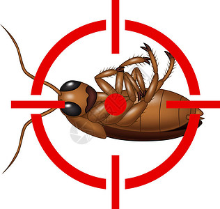 灭活疫苗蟑螂目标图标插画