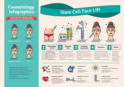 间充质干细胞设置与美容干细胞整容的矢量图解插画
