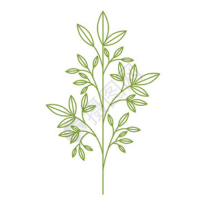 叶子植物隔离图标矢量插图设计图片